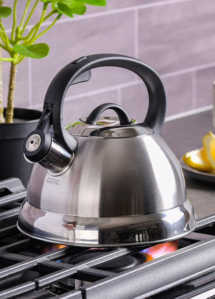 Mr. Coffee Flintshire Stainless Steel Whistling Tea Kettle, 1.75 Quart, Brushed Satin