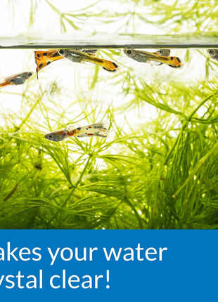 API ACCU-CLEAR Freshwater Aquarium Water Clarifier 8-Ounce Bottle