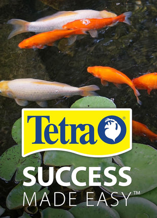 TetraPond Pond Sticks, Pond Fish Food, for Goldfish and Koi, 1.72 Pounds