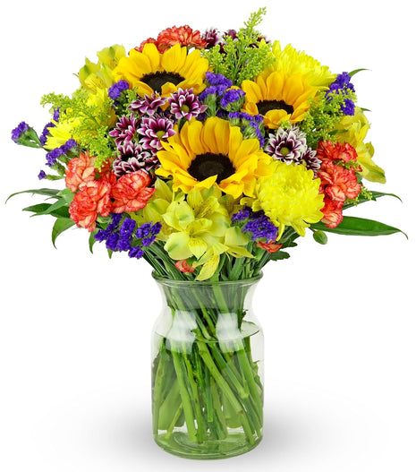 Benchmark Bouquets - Flowering Fields Sunflower Bouquet - Fresh Flowers for Delivery - Real Flowers in a Vase - Birthday Flowers for Women - Congratulations Gift (Glass Vase Included)