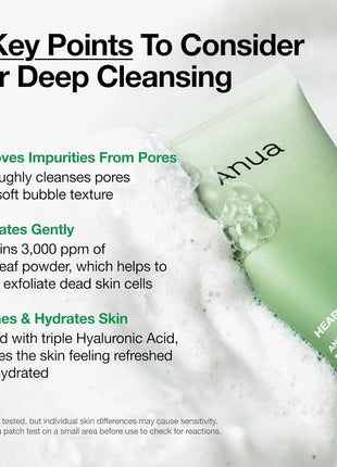 Anua Heartleaf Quercetinol Pore Deep Cleansing Foam, Face wash for Pore Refining Cleanser, Hydrating Daily Facial Cleanser For Double Cleansing, Gentle Foaming with BHA, Korean Skincare, 5.07 fl.oz.
