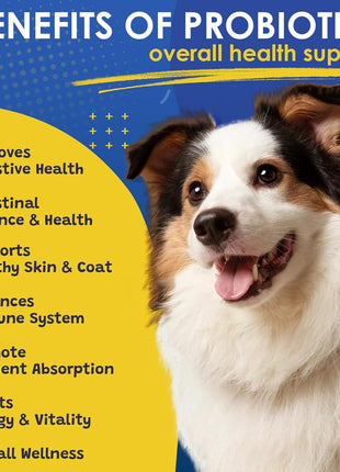 Probiotics for Dogs, Dog Probiotics for Digestive Health, Dog Vitamins, Dog Multivitamin Powder