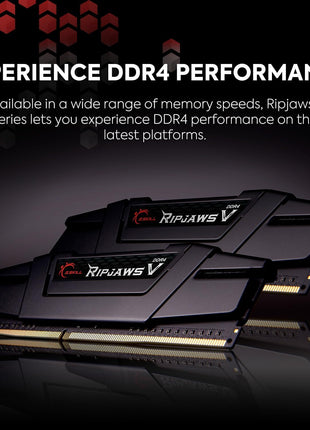 G.SKILL RipjawsV Series DDR4 RAM (XMP) 32GB (2x16GB) 3600MT/s CL18-22-22-42 1.35V Intel AMD Desktop Computer Memory U-DIMM - Black (F4-3600C18D-32GVK)