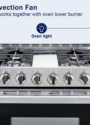30 inch Gas Range Oven Gas Range Stove Convection Oven Stainless Steel Freestanding 5.56 cu.ft.4 Burners 42000BTU Large 3 Layers Tempered Glass Door Heavy Duty