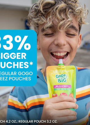 GoGo squeeZ BIG Applesauce & Fruit Puree with Vanilla and Cinnamon Variety Pack, Pear & Raspberry, 4.2 oz. (Pack of 20), Unsweetened Fruit Snacks for Kids, Gluten Free, Nut Free, Dairy Free Pouches