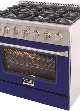 36 in. 5.2 cu. ft. Natural Gas Range with Sealed Burners and Convection Oven in Stainless Steel with Blue Oven Door