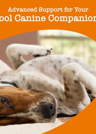 Zesty Paws Calming Chews for Dogs - for Everyday Stress, Relaxation, Composure, and Separation Turkey 90 Count (Pack of 2)