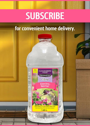 Pennington Electro-Nectar Hummingbird Nectar Ready to Use, Naturally Colored with Electrolytes, 64-oz Bottle