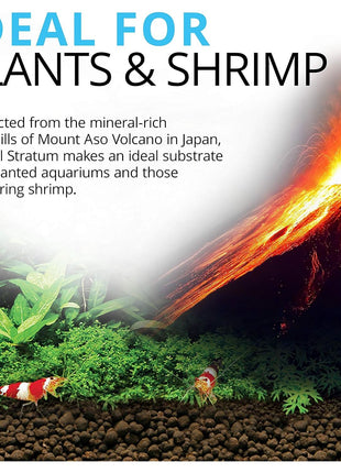 Fluval 12694 Plant and Shrimp Stratum for Freshwater Fish Tanks, 8.8 lbs. 芒聙聯 Aquarium Substrate for Strong Plant Growth, Supports Neutral to Slightly Acidic pH