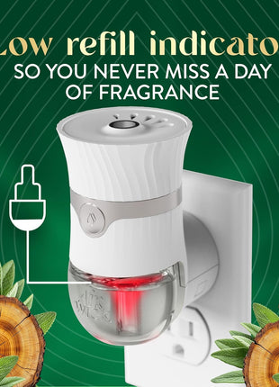 Air Wick Plug in Scented Oil Refill, 5ct, White Sage & Mahogany, Air Freshener, Essential Oils