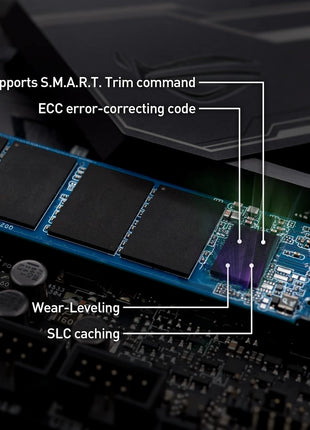 TEAMGROUP MP33PRO 2TB SLC Cache 3D NAND TLC NVMe 1.3 PCIe Gen3x4 M.2 2280 Internal SSD R/W Speed Up to 3500/3000 MB/s Laptop & Desktop TM8FPD002T0C101