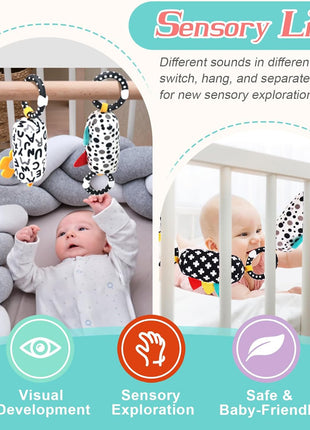 vocheer High Contrast Baby Toys for Newborn, 6-in-1 Sensory Set Gift | 21Pcs Montessori Early Educational Learning Kit, Black and White Baby Toys, for 0-3 Months