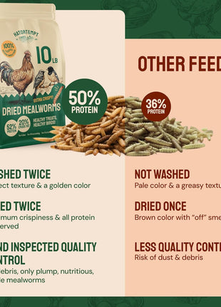 Hatortempt Bulk Dried Mealworms - 10 Lb Bag - Non-GMO Dried Mealworms for Chickens, Ducks & Wild Birds - High-Protein Chicken Feed & Bird Food