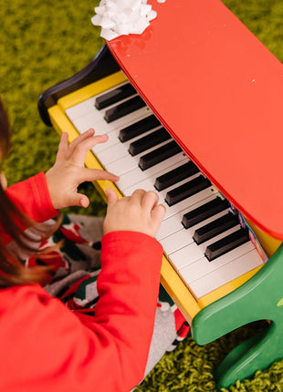 Melissa & Doug Learn-to-Play Piano with 25 Keys and Color-Coded Songbook Toy Piano Kids, Toddler Toys for Ages 3+