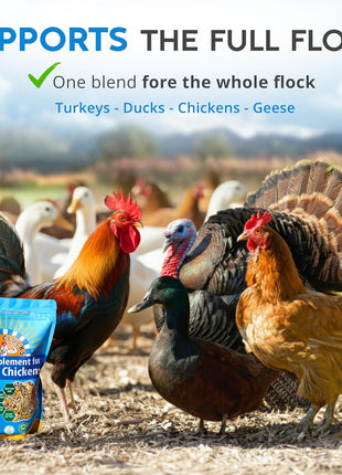 Herb Supplement for Backyard Chickens - Natural Chicken Treats, Poultry Feed Botanical Mix, Plant-Based Coop Snacks for Daily Wellness, Feather Quality, Egg Production, USA (12 oz)