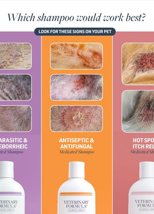 Veterinary Formula Clinical Care Antiseptic and Antifungal Medicated Shampoo for Dogs & Cats, 16 Fl Oz 芒聙聯 Helps Alleviate Scaly, Greasy, red Skin 芒聙聯 Paraben, Dye, Soap-Free (1 Pack)