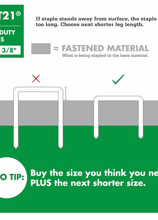 Arrow 215 JT21 Thin Wire Staples for Staple Guns and Staplers, Use for Upholstery, Crafts, General Repairs, 5/16-Inch Leg Length, 7/16-Inch Crown Width, 1000-Pack, Made in the USA