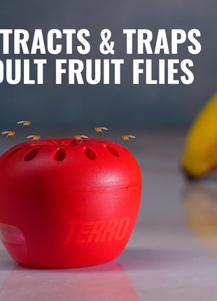 TERRO Fruit Fly Traps for Indoors (4 Pack) + 180 Days of Lure Supply