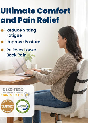 Everlasting Comfort Lumbar Support Pillow for Office Chair - Memory Foam Back Cushion for Car Seat - Promotes Better Posture, Back Pain Relief - Ideal Gaming and Desk Chairs Work and Home Essentials