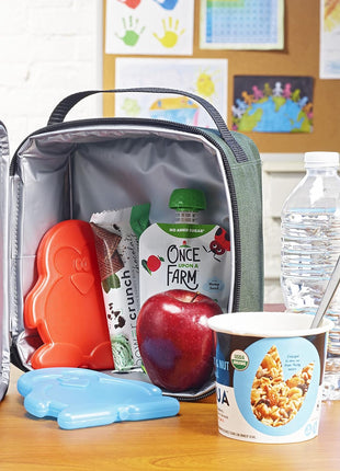 Fit & Fresh Cool Coolers