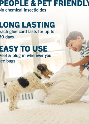 Safer Home SH503 Trap Refill Pack of Glue Cards for SH502 Indoor Fly Trap, Official Safer Home Refills with StickyTech Glue Card Technology, 3 Count (Pack of 1)