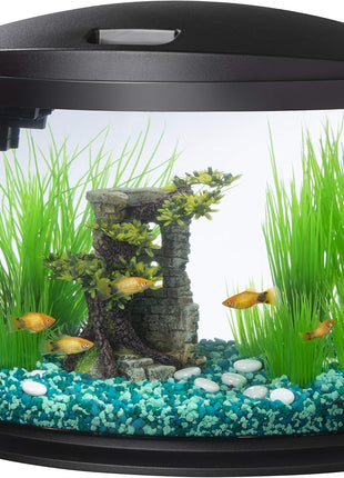 Aqueon LED MiniBow Small Aquarium Fish Tank Kit with SmartClean Technology, Black, 5 Gallon