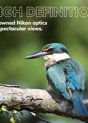 Nikon PROSTAFF P3 8x42 Binocular | Waterproof, fogproof, rubber-armored Full-Size Binocular, wide field of view & long eye relief | Official Nikon USA Model | Waterproof, fogproof, wide field of view, long eye relief, rubber-armored Full-Size Binocular