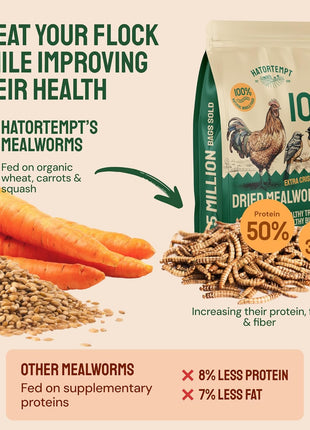 Hatortempt Bulk Dried Mealworms - 10 Lb Bag - Non-GMO Dried Mealworms for Chickens, Ducks & Wild Birds - High-Protein Chicken Feed & Bird Food