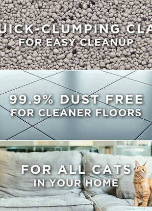 Purina Tidy Cats Free and Clean Unscented Cat Litter - 38 lb. Box