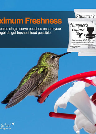 Hummer's Galore Made in USA Hummingbird Food - Ready-to-Mix Hummingbird Nectar, All-Natural Nectar Collector Formula, No Preservatives or Dyes, Makes 64 Ounces (4 Packets Included)