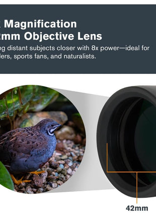 Celestron Outland X 8x42 Binoculars for Birding & Nature Viewing | Built for the Outdoors, Rugged Rubber-Armored Body, Waterproof, BaK-4 Prisms, Multi-Coated Optics, Bright, Clear Views