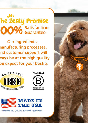 Zesty Paws Probiotics for Dogs, Digestive Enzymes Gut Flora, Digestive Health, Diarrhea & Bowel Support, DE111, Dog Probiotics Soft Chew for Pet Immune System, Chicken, 50 Ct (Pack of 2)