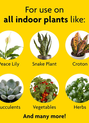 Miracle-Gro Indoor Plant Food, Liquid Plant Food for Houseplants, Snake Plants, Peace Lilies, Flowers, Vegetables, Herbs and More, 8 oz., 2-Pack