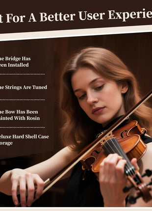 PHOENIX Violin 4/4 Full Size Set, Fiddle Set for professional Beginners Adults with Rosewood Bow Extra strings & Bridge, 2 Rosins, Tuner, Mute, Case (Plywood, 4/4)