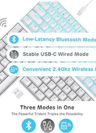 RK ROYAL KLUDGE RK61 Wireless 60% Mechanical Gaming Keyboard, Ultra-Compact 60 Keys Bluetooth Mechanical Keyboard with Programmable Software (Blue Switch, White)