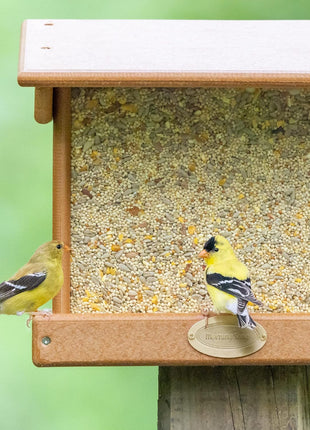 Morning Song Clean & Free Shell Free Wild Bird Food, Premium No Mess Bird Seed for Outside Feeders, 10-Pound Bag