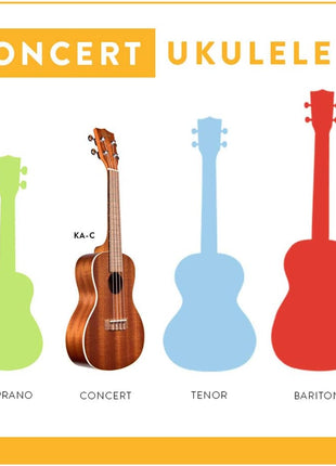 Kala KA-C Mahogany Concert Ukulele