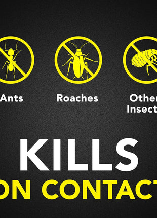 Raid Ant & Roach Killer 26, Fragrance Free Bug Killer for Home Use, Kills Bugs on Contact, 17.5 Oz, 2 Count
