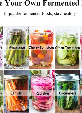 Fermentation Lids, 6 Set Fermentation Kit for Wide Mouth Jars, 6 Stainless Steel Fermenting Lids with 6 Silicone Grommets, 6 Airlocks, 6 Silicone Rings(Jars Not Included)