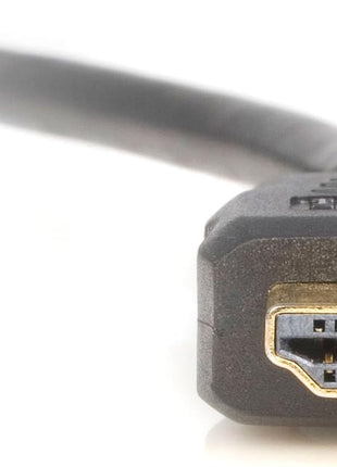 StarTech.com 1 ft. (0.3 m) HDMI Splitter Cable - 2 Port - HDMI to HDMI and DVI-D Adapter - HDMI Splitter (HDMISPL1DH) Black