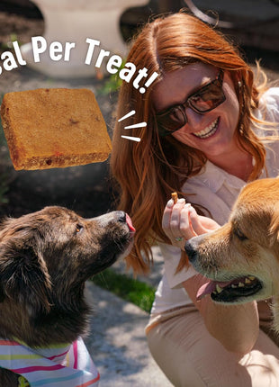 Wellness Puppy Treats, Natural, Training Treat, Grain Free, Soft Lamb & Salmon (8 Ounce Bag)