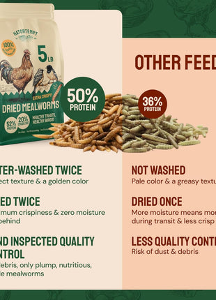 Hatortempt Dried Mealworms - Non-GMO & Organic - High-Protein Mealworms for Wild Bird Food, Ducks & Chickens (5lb)