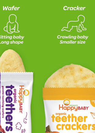 Happy Baby Organics Teether, 3 Flavor Variety Pack, 12 Count (Pack of 3)