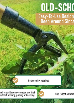 Grampa's Weeder - The Original Stand Up Weed Puller Tool with Long Handle - Made with Real Bamboo & 4-Claw Steel Head Design - Easily Remove Weeds Without Bending, Pulling, or Kneeling.