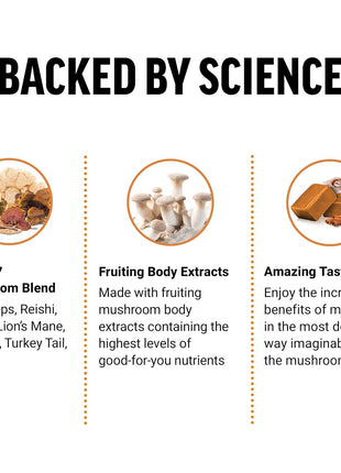 Force Factor Modern Mushrooms Soft Chews, Mushroom Supplement | with Lions Mane, Turkey Tail & Cordyceps to Support Energy, Focus & Digestion, Cinnamon Roll, 120 Soft Chews, 2-Pack