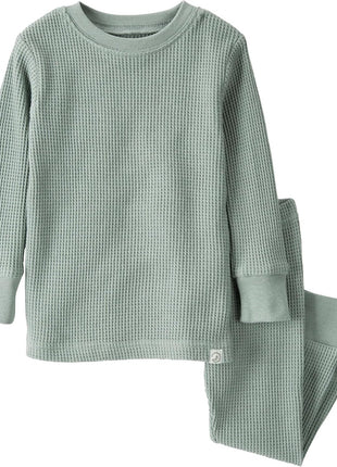 little planet by carter's Baby 2-Piece Pajamas Made with Organic Cotton, Blue Safari Animals, 3T