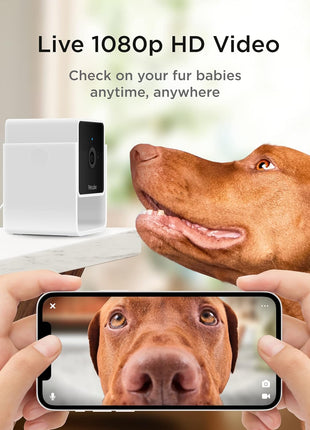 Petcube All Devices Pack: Cam, Cam 360, Bites 2 Lite, Play 2, GPS Tracker (All in one App)