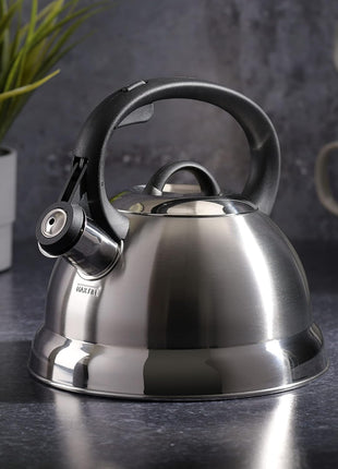 Mr. Coffee Flintshire Stainless Steel Whistling Tea Kettle, 1.75 Quart, Brushed Satin