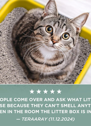 Purina Tidy Cats Free and Clean Unscented Cat Litter - 38 lb. Box