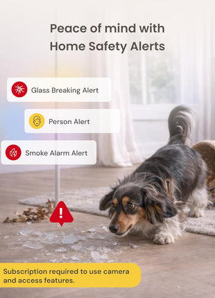 Furbo 360° Dog Camera + Mini [New Subscription Required at Setup] 2-Camera Bundle Nanny Subscription: Dog Safety & Home Security Alerts, Pet Camera with Speaker, Phone App & Night Vision